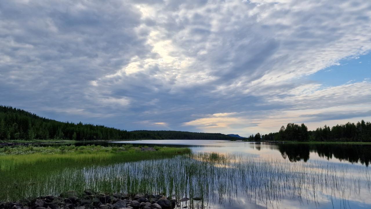 Begravningsbyrå i Byske