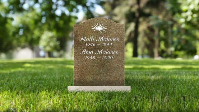 Bild av Stenmodell GRF 205