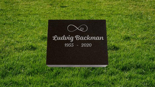 Bild av Stenmodell L665