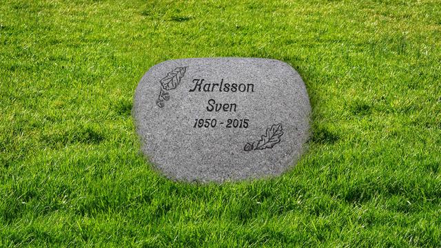 Bild av Stenmodell EN115