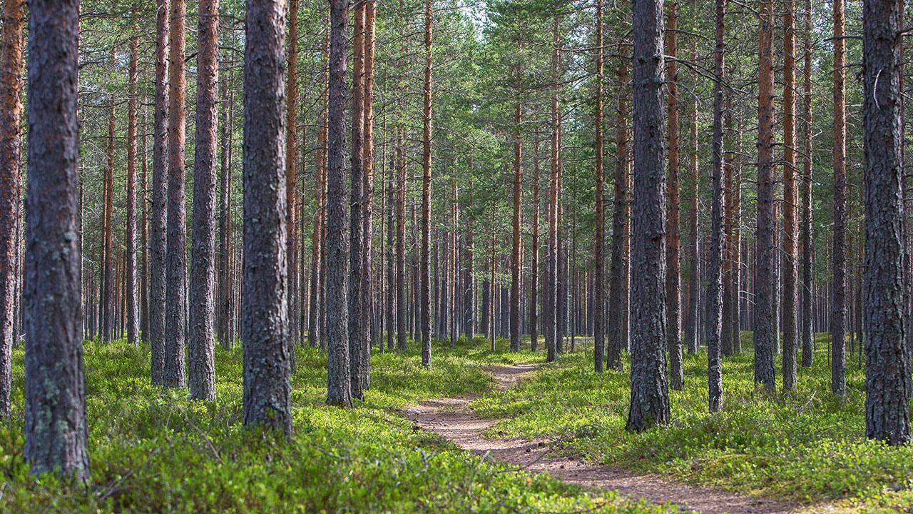 Din begravningsbyrå i Bromölla