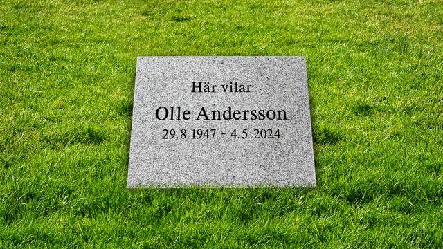 Bild av Stenmodell EN201